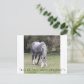 馬のフェンスだ！ ポストカード (スタンド正面)