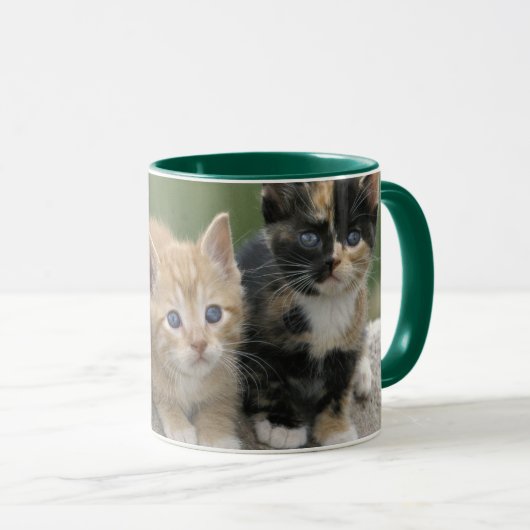 馬のブランケットの上の納屋の子猫たち マグカップ (正面右)