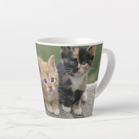 馬のブランケットの上の納屋の子猫 カフェラテマグ (右アングル)