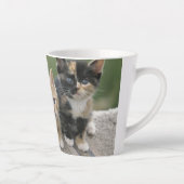 馬のブランケットの上の納屋の子猫 カフェラテマグ (右)