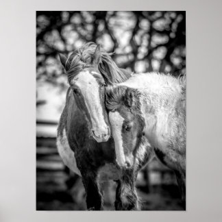 馬のプリント/ポスター ポスター