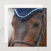 馬のプロフィールの招待状 招待状 (正面/裏面)