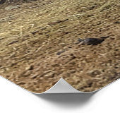 馬のペンで駆け回る千と千と千尋の馬 ポスター (角)