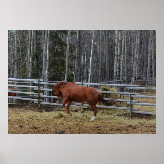 馬のペンで駆け回る千と千と千尋の馬 ポスター (正面)