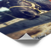 馬のポスター："おい女の子。 ポスター (角)