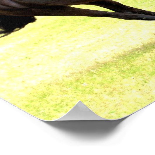 馬のポスター ポスター (角)