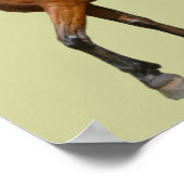 馬のポスター ポスター (角)