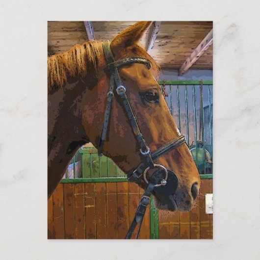 馬のポスター ポストカード (正面)