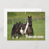 馬のポストカード ポストカード (正面/裏面)