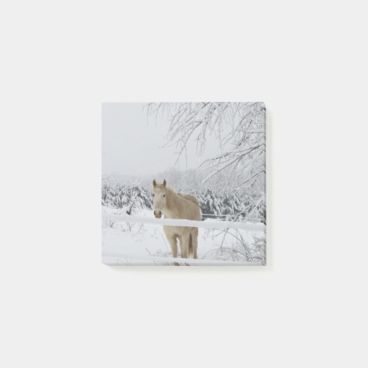 馬のポスト・イット ポストイット (正面)