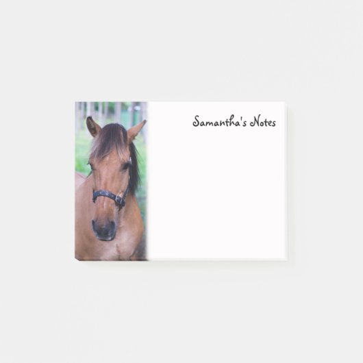 馬のポストItメモ ポストイット (正面)