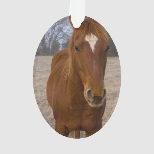 馬のポーズ オーナメント (裏面)