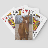 馬のポーズ トランプ (裏面)