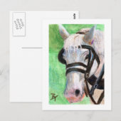 馬のポートレートはがき ポストカード (正面/裏面)