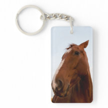 馬のポートレート