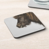 馬のポートレート コースター (左側)