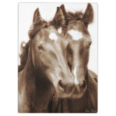 馬のポートレートIII クリップボード (裏面)