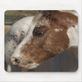 馬のマウスパッド マウスパッド