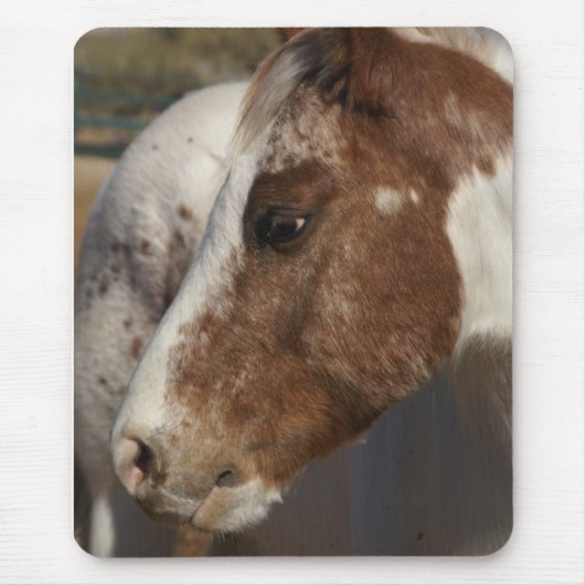 馬のマウスパッド マウスパッド (正面)