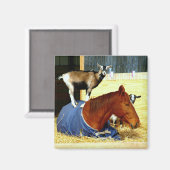 馬のマグネット山羊のマグネットおもしろいファームフォト マグネット (正面/裏面)