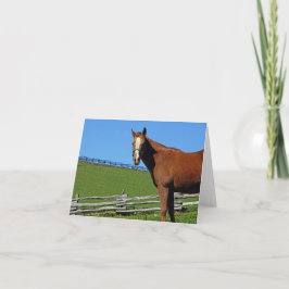 馬のメッセージカード カード