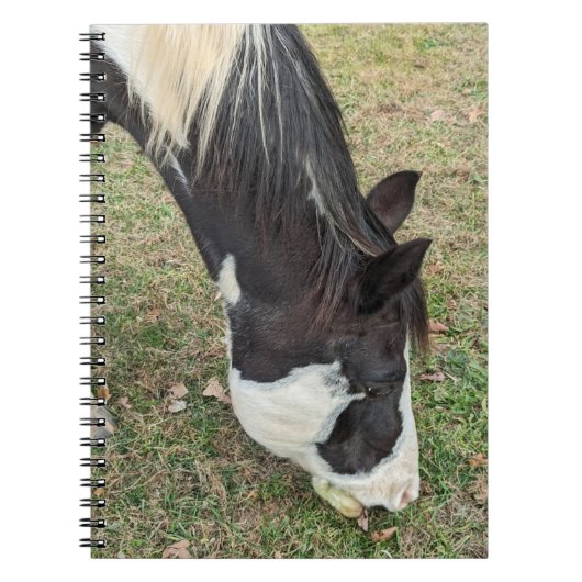 馬のメモ帳 ノートブック (正面)
