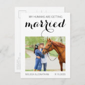 馬のモダン写真ペットの結婚式の日付を保存 案内ポストカード (正面/裏面)