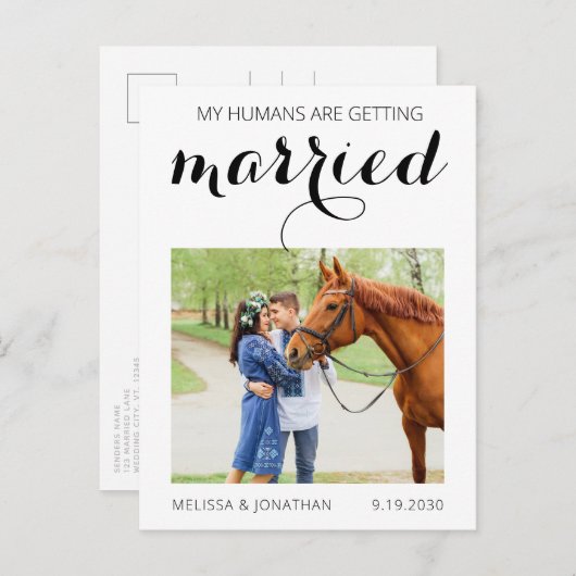 馬のモダン写真ペットの結婚式の日付を保存 案内ポストカード (正面/裏面)