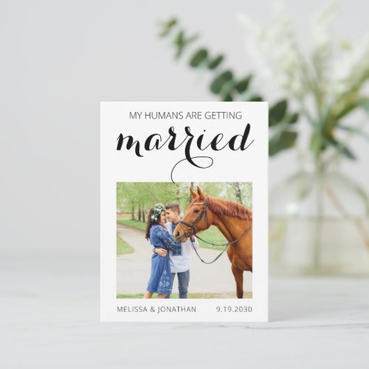 馬のモダン写真ペットの結婚式の日付を保存 案内ポストカード (スタンド正面)