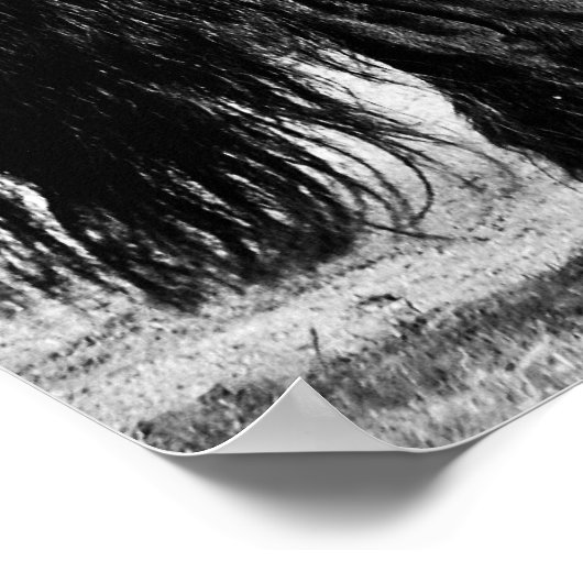 馬のモデリング ポスター (角)