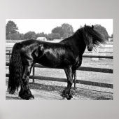 馬のモデリング ポスター (正面)