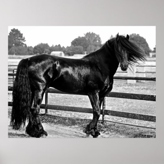 馬のモデリング ポスター (正面)