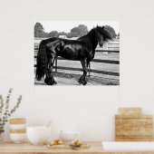 馬のモデリング ポスター (キッチン)