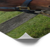 馬のユーモア:フェンスの私の側でここで幸せ ポスター (角)