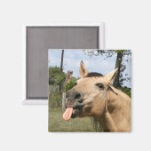 馬のラズベリー磁石 マグネット (正面/裏面)