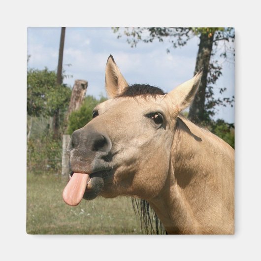 馬のラズベリー磁石 マグネット (正面)