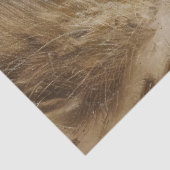 馬のランニングビーチのデコペ絵画ージ 薄葉紙 (詳細)