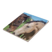 馬のロマンスのタイル タイル (側面)