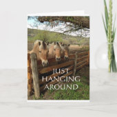 馬の一団が「カッコいいハッピーバースデー」と言う カード (正面)