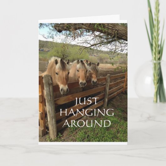 馬の一団が「カッコいいハッピーバースデー」と言う カード (正面)