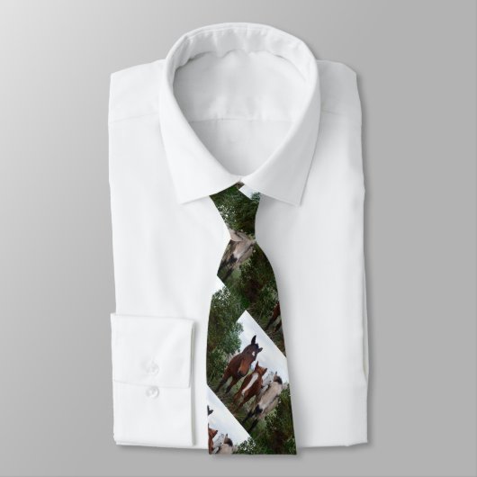 馬の仲間が四つ ネクタイ (タイ)