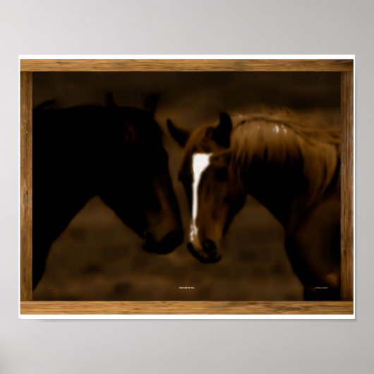 馬の仲間 ポスター (正面)