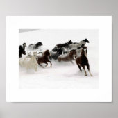 馬の任務。 ポスター (正面)