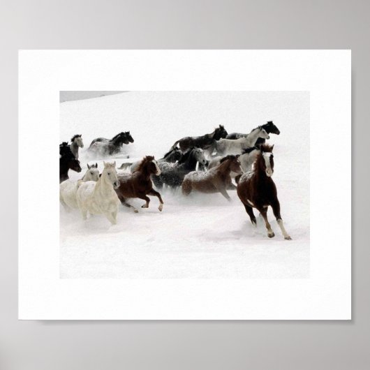 馬の任務。 ポスター (正面)