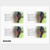 馬の住所 シール (シート)