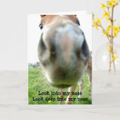 馬の催眠術師が年上の誕生日カードを取得 カード (黄色い花)