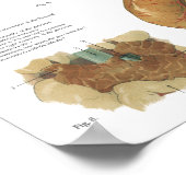 馬の内部解剖図18" X 24" ポスター (角)