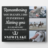 馬の写真と悔やみや弔慰引用文馬メモリアルプラーク フォトプラーク (正面)