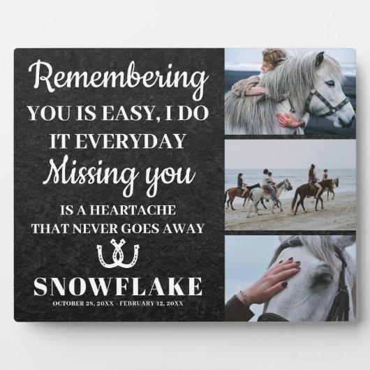 馬の写真と悔やみや弔慰引用文馬メモリアルプラーク フォトプラーク (正面)