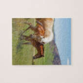 馬の写真のロバおよび子馬の家および台所装飾 ジグソーパズル (横)